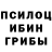 Псилоцибиновые грибы Magic Shrooms Galina Avetisyan