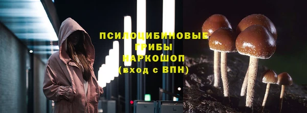 мет Абаза
