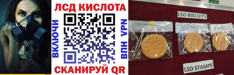 дарк нет как зайти  Фурманов  Марки N-bome 1,5мг 