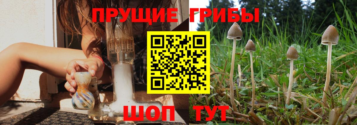 Галлюциногенные грибы Cubensis Фурманов