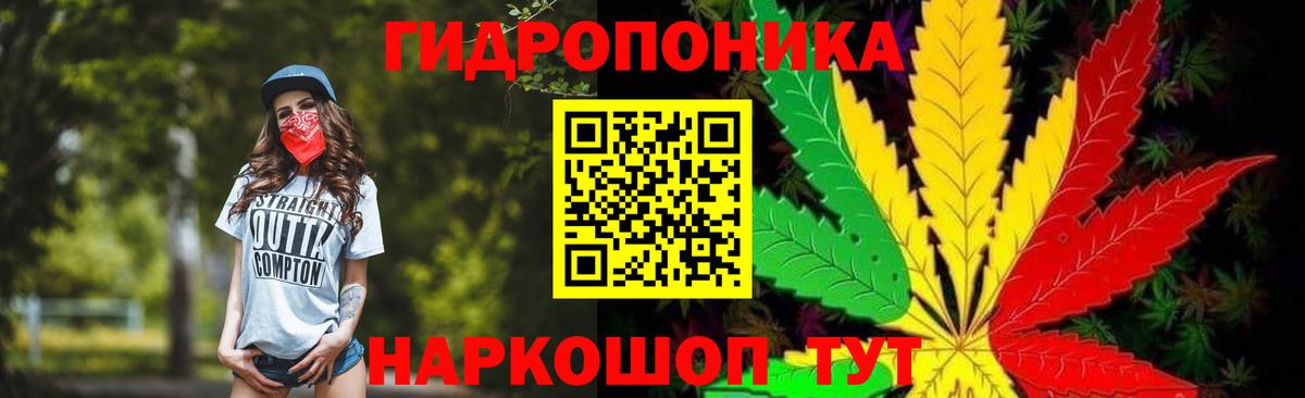 Конопля Bruce Banner Фурманов
